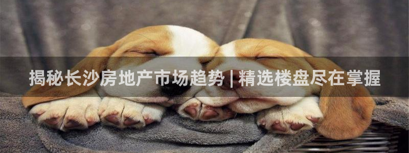 ag真人游戏第一品牌