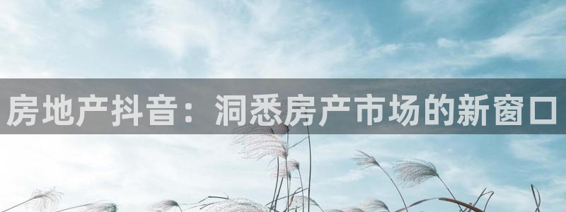 j9九游国际真人
