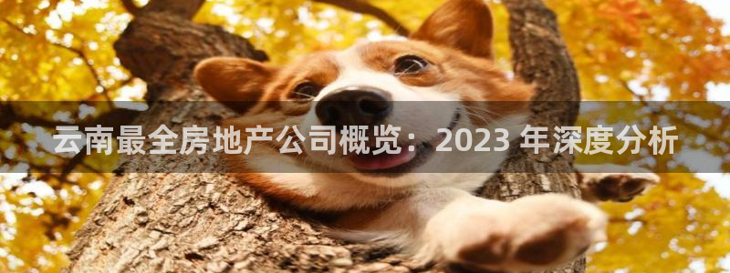 j9九游会真人游戏第一品牌捕鱼王